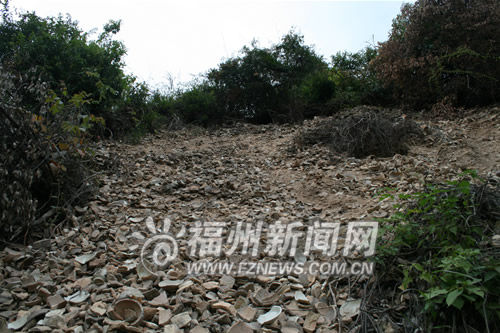 福建千年窑址遭盗挖 残破瓷片倾泻山野(组图)