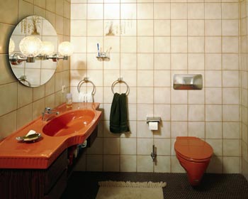 �մ�װ����ԡ��װ��ŷ���ݻ�����(ͼ)