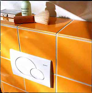 嵌在墙上的马桶冲水按钮实际上是检修口