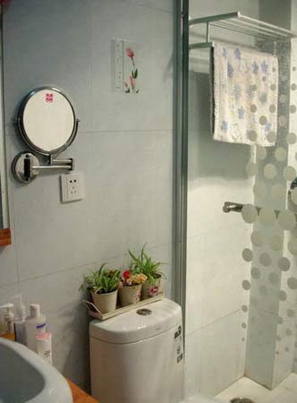 巧用吊兰卫生间大变样