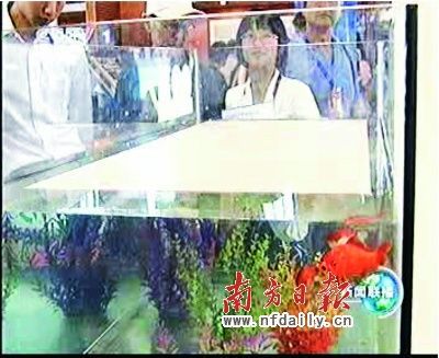 ������ɯ�մɰ�����Ի�60��ɾ�չ(��ͼ)