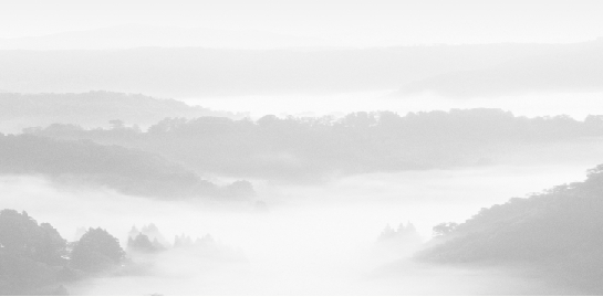 �ǽ������ղؼ�����������