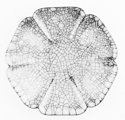 ���δ���Ҥ�����ڹʹ��ܵ���һ�£��ʹ�����Ժ�칫����������ͨ��ý�����������˵����