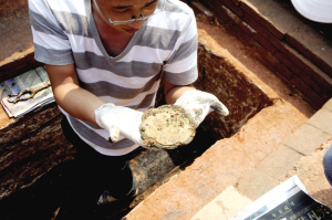 新造秀发村发现宋代古墓