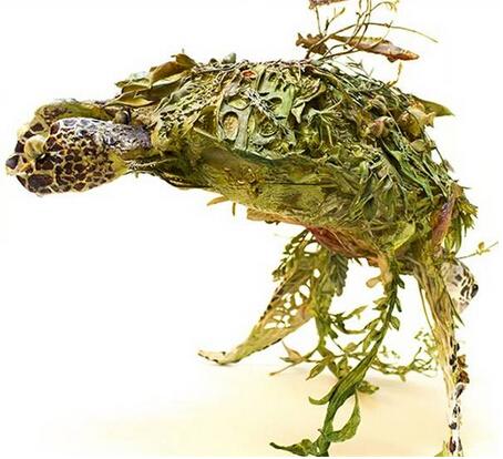 ����|�����մ�����һ���ɾ�