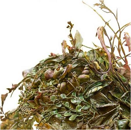 ����|�����մ�����һ���ɾ�