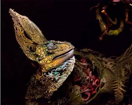 ����|�����մ�����һ���ɾ�