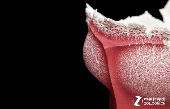 来一张细节展示