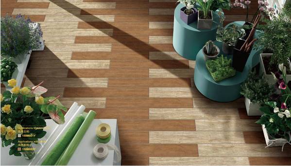 ������������Ϯ����ǿ�մɽ�������һ��