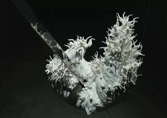 ϻԺʳ“й”̽ﾳµĵ»״