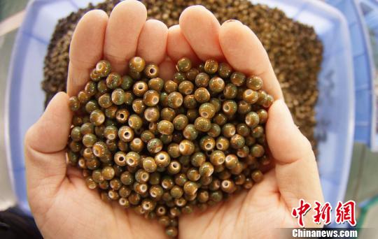 烧制出炉的瓷珠,硬度比传统陶瓷高20%,耐磨抗摔,变形率极小。 王昊阳 摄